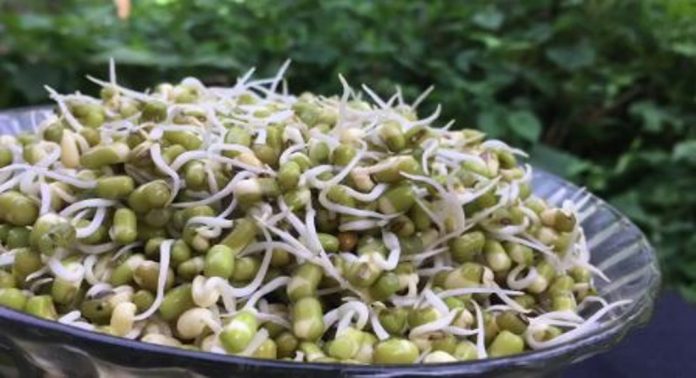 മുളപ്പിച്ച പയർ കഴിക്കുന്നത് ശീലമാക്കൂ ; ആരോഗ്യഗുണങ്ങൾ അറിയാം… മുളപ്പിച്ച പയർ കഴിക്കുന്നത് ശീലമാക്കൂ ; ആരോഗ്യഗുണങ്ങൾ അറിയാം…