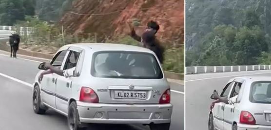 മൂന്നാർ ഗ്യാപ് റോഡിൽ കാറിൽ സാഹസിക യാത്ര ; പിന്നാലെ മുട്ടൻ പണി കൊടുത്ത് ആർ.ടി.ഒ മൂന്നാർ ഗ്യാപ് റോഡിൽ കാറിൽ സാഹസിക യാത്ര ; പിന്നാലെ മുട്ടൻ പണി കൊടുത്ത് ആർ.ടി.ഒ