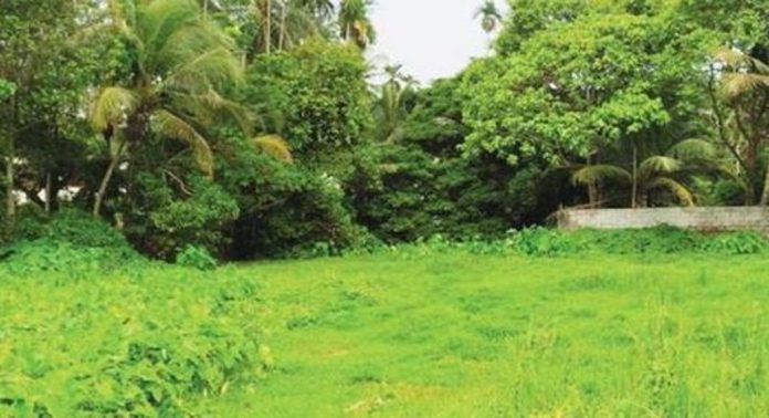 വ്യവസായസംരംഭങ്ങൾ വ്യാപിപ്പിക്കണം ; ‘ലാൻഡ് പൂളിങ്’ രീതിയിൽ പദ്ധതി തയ്യാറാക്കി സർക്കാർ വ്യവസായസംരംഭങ്ങൾ വ്യാപിപ്പിക്കണം ; ‘ലാൻഡ് പൂളിങ്’ രീതിയിൽ പദ്ധതി തയ്യാറാക്കി സർക്കാർ