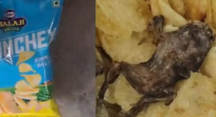 ചിപ്സ് പാക്കറ്റിൽ ചത്ത തവളയെ കണ്ടെത്തിയ സംഭവം ; ഭക്ഷ്യവകുപ്പ് അന്വേഷണം ആരംഭിച്ചു ചിപ്സ് പാക്കറ്റിൽ ചത്ത തവളയെ കണ്ടെത്തിയ സംഭവം ; ഭക്ഷ്യവകുപ്പ് അന്വേഷണം ആരംഭിച്ചു