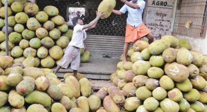 കേരളത്തിലെ ചക്ക വിപണി ഉണർന്നു ; തമിഴ്നാട്ടിൽ കച്ചവടം പൊടിപൊടിക്കുന്നു കേരളത്തിലെ ചക്ക വിപണി ഉണർന്നു ; തമിഴ്നാട്ടിൽ കച്ചവടം പൊടിപൊടിക്കുന്നു