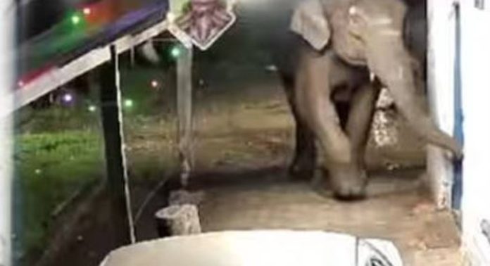 മൂന്നാറിൽ വീണ്ടും കാട്ടാനയാക്രമണം ; നാട്ടുകാർ ഭീതിയിൽ മൂന്നാറിൽ വീണ്ടും കാട്ടാനയാക്രമണം ; നാട്ടുകാർ ഭീതിയിൽ