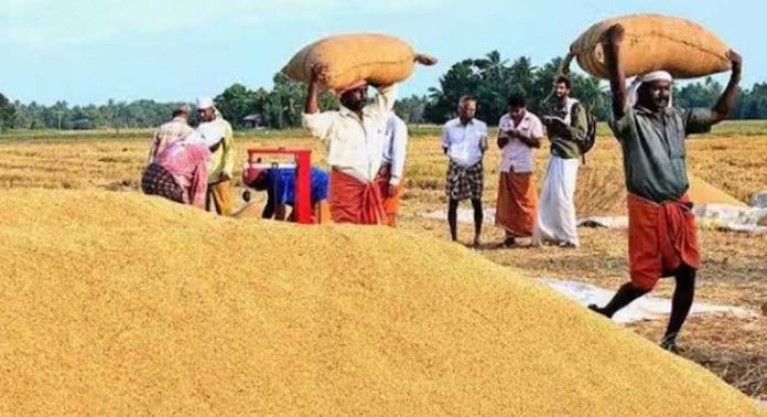 14 ഖാരിഫ് വിളകളുടെ താങ്ങുവില വർധിപ്പിച്ച് കേന്ദ്ര സർക്കാർ 14 ഖാരിഫ് വിളകളുടെ താങ്ങുവില വർധിപ്പിച്ച് കേന്ദ്ര സർക്കാർ