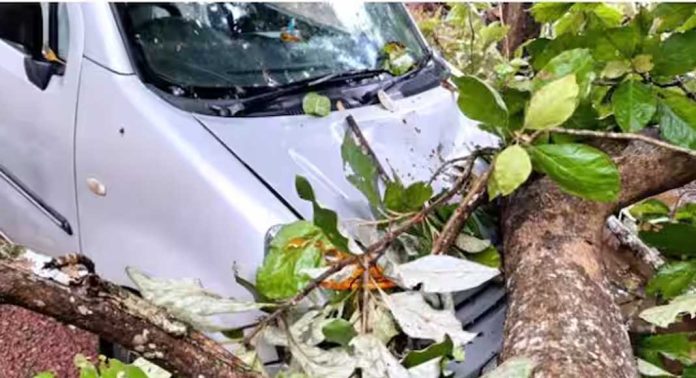 ആലപ്പുഴയിലെ ചാരുംമൂട് മേഖലയിൽ ശക്തമായ കാറ്റിലും മഴയിലും വ്യാപക നാശനഷ്ടം ആലപ്പുഴയിലെ ചാരുംമൂട് മേഖലയിൽ ശക്തമായ കാറ്റിലും മഴയിലും വ്യാപക നാശനഷ്ടം