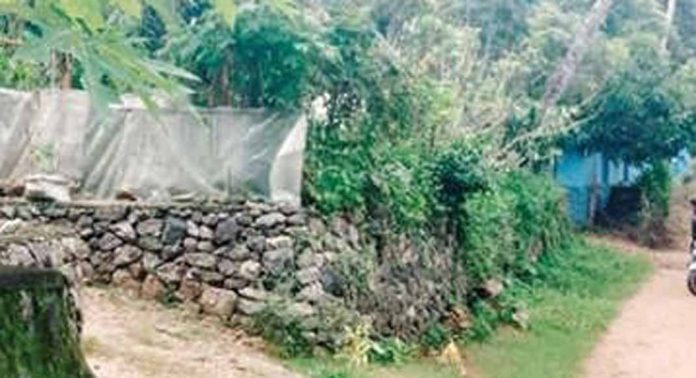 പട്ടയം കിട്ടാതെ പേക്കുളത്ത് അമ്പത്തിരണ്ട് കുടുംബങ്ങൾ പട്ടയം കിട്ടാതെ പേക്കുളത്ത് അമ്പത്തിരണ്ട് കുടുംബങ്ങൾ