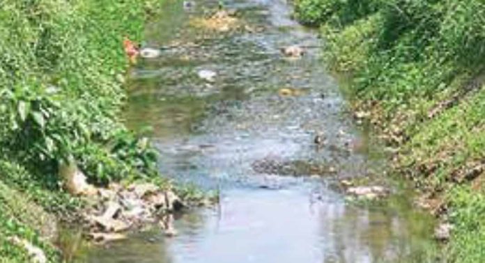 കല്ലട ജലസേചനപദ്ധതിയുടെ കനാലിന്റെ അവസ്ഥ പരിതാപകരം കല്ലട ജലസേചനപദ്ധതിയുടെ കനാലിന്റെ അവസ്ഥ പരിതാപകരം