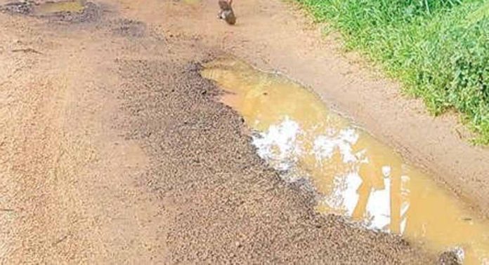 കവിയൂരില് ജൽജീവൻ പദ്ധതിയിൽ വെട്ടിപ്പൊളിച്ച റോഡുകളുടെ പുനരുദ്ധാരണം വൈകുന്നു കവിയൂരില് ജൽജീവൻ പദ്ധതിയിൽ വെട്ടിപ്പൊളിച്ച റോഡുകളുടെ പുനരുദ്ധാരണം വൈകുന്നു