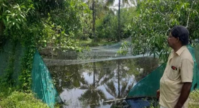 വെളളം കയറി മത്സ്യങ്ങൾ ഒഴുകിപ്പോയി ; നഷ്ടമായത് 500 കിലോ കരിമീൻ ഉൾപ്പെടെ ; കർഷകന് ലക്ഷങ്ങളുടെ നഷ്ടം വെളളം കയറി മത്സ്യങ്ങൾ ഒഴുകിപ്പോയി ; നഷ്ടമായത് 500 കിലോ കരിമീൻ ഉൾപ്പെടെ ; കർഷകന് ലക്ഷങ്ങളുടെ നഷ്ടം