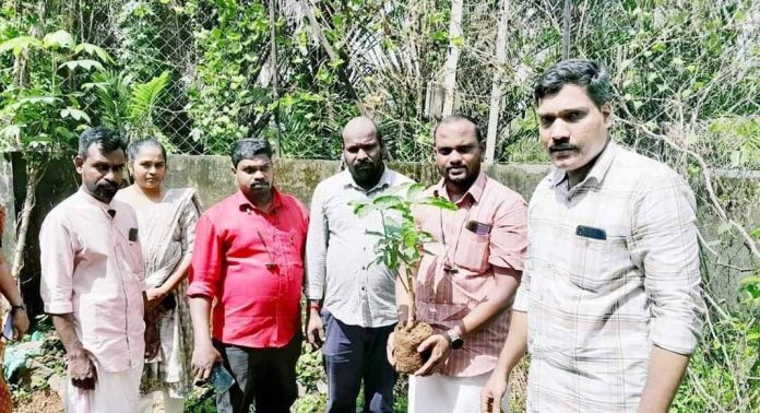 പരിസ്ഥിതി ദിനത്തിൽ എ ഐ വൈ എഫ് വൃക്ഷതൈകൾ വിതരണം ചെയ്തു പരിസ്ഥിതി ദിനത്തിൽ എ ഐ വൈ എഫ് വൃക്ഷതൈകൾ വിതരണം ചെയ്തു
