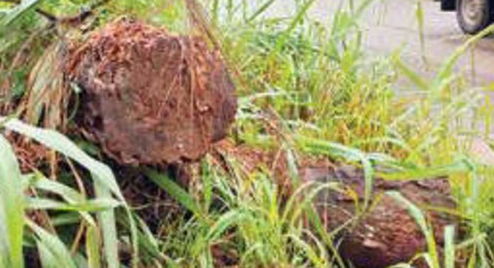കാൽനടക്കാർക്കും വാഹനയാത്രക്കാർക്കും കെണിയൊരുക്കി കുമ്പനാട് – ആറാട്ടുപുഴ റോഡിലെ തടികള് കാൽനടക്കാർക്കും വാഹനയാത്രക്കാർക്കും കെണിയൊരുക്കി കുമ്പനാട് – ആറാട്ടുപുഴ റോഡിലെ തടികള്