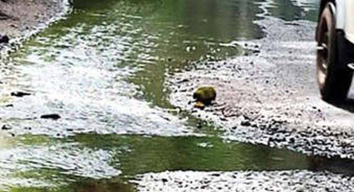 കുമ്മണ്ണൂർ – കടപ്ലാമറ്റം വയലാ-വെമ്പള്ളി റോഡ് ടെൻഡർ നടപടികൾ ഉടൻ പൂർത്തിയാക്കും ; എൽഡിഎഫ് കടുത്തുരുത്തി നിയോജകമണ്ഡലം കുമ്മണ്ണൂർ – കടപ്ലാമറ്റം വയലാ-വെമ്പള്ളി റോഡ് ടെൻഡർ നടപടികൾ ഉടൻ പൂർത്തിയാക്കും ; എൽഡിഎഫ് കടുത്തുരുത്തി നിയോജകമണ്ഡലം