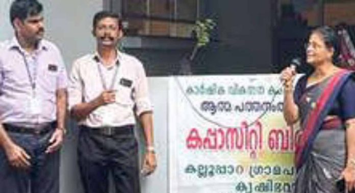 തുരുത്തിക്കാട് ബി.എ.എം.കോളേജിൽ പച്ചക്കറി കൃഷി ഉദ്ഘാടനം ചെയ്തു തുരുത്തിക്കാട് ബി.എ.എം.കോളേജിൽ പച്ചക്കറി കൃഷി ഉദ്ഘാടനം ചെയ്തു