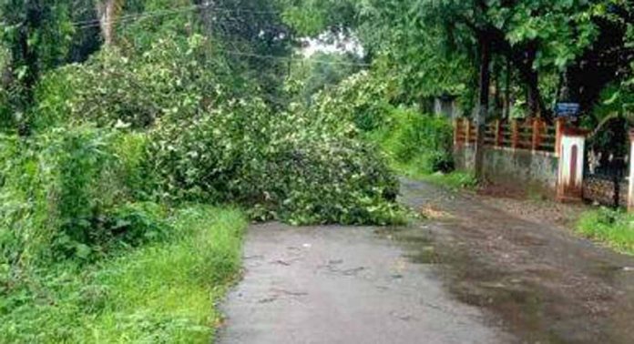 എഴുമറ്റൂർ – പടുതോട് ബാസ്റ്റോ റോഡിൽ ശക്തമായ കാറ്റിലും മഴയിലും വൃക്ഷശിഖരങ്ങൾ ഒടിഞ്ഞു വീണ് ഗതാഗതം തടസപ്പെട്ടു എഴുമറ്റൂർ – പടുതോട് ബാസ്റ്റോ റോഡിൽ ശക്തമായ കാറ്റിലും മഴയിലും വൃക്ഷശിഖരങ്ങൾ ഒടിഞ്ഞു വീണ് ഗതാഗതം തടസപ്പെട്ടു