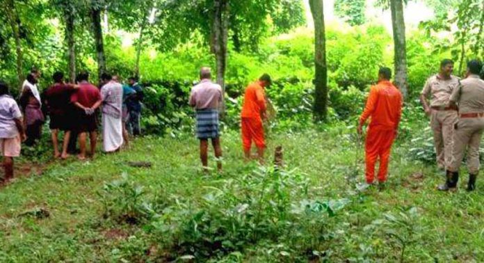 മല്ലപ്പള്ളി ആനപ്പാറയിൽ പോത്ത് വിരണ്ടോടിയത് പരിഭ്രാന്തിസൃഷ്ടിച്ചു മല്ലപ്പള്ളി ആനപ്പാറയിൽ പോത്ത് വിരണ്ടോടിയത് പരിഭ്രാന്തിസൃഷ്ടിച്ചു