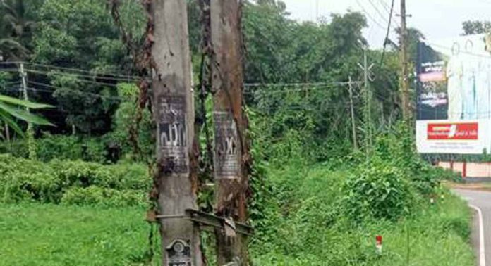 അപകടങ്ങൾ വർദ്ധിക്കുമ്പോൾ ദിശാബോർഡുകൾ പലതും കാടുകയറിയ നിലയിൽ അപകടങ്ങൾ വർദ്ധിക്കുമ്പോൾ ദിശാബോർഡുകൾ പലതും കാടുകയറിയ നിലയിൽ