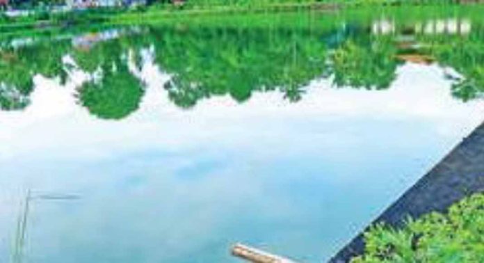 മാന്നാറിലെ തന്മടിക്കുളം സംരക്ഷിക്കണമെന്ന ആവശ്യം ശക്തമാകുന്നു മാന്നാറിലെ തന്മടിക്കുളം സംരക്ഷിക്കണമെന്ന ആവശ്യം ശക്തമാകുന്നു