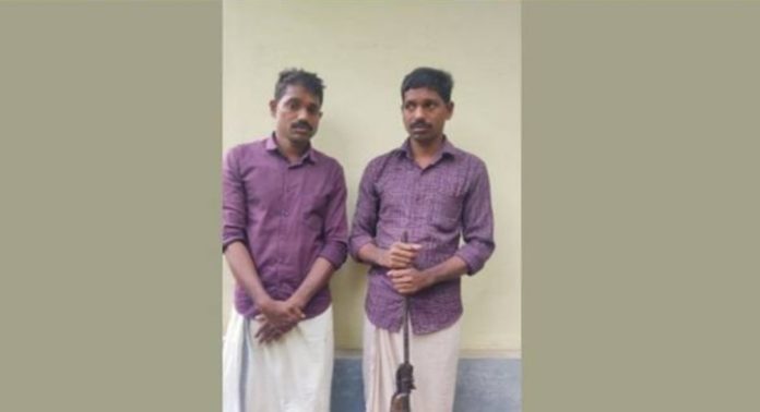 മയിലിനെ വെടിവെച്ചിട്ട് പാകം ചെയ്തു കഴിച്ചു ; സഹോദരൻമാർ അറസ്റ്റിൽ മയിലിനെ വെടിവെച്ചിട്ട് പാകം ചെയ്തു കഴിച്ചു ; സഹോദരൻമാർ അറസ്റ്റിൽ