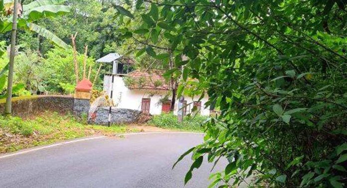 നെല്ലിക്കാലാ ആലുങ്കൽ റോഡിൽ കാഴ്ച മറച്ച് കാട് നെല്ലിക്കാലാ ആലുങ്കൽ റോഡിൽ കാഴ്ച മറച്ച് കാട്