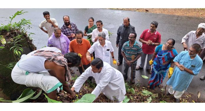 മാർ ക്രിസോസ്റ്റം ഫൗണ്ടേഷന്റെ ആഭിമുഖ്യത്തിൽ വെച്ചൂച്ചിറ കുളമാംങ്കുഴി ഭാഗങ്ങളിൽ ചെടി നടീൽ നടന്നു മാർ ക്രിസോസ്റ്റം ഫൗണ്ടേഷന്റെ ആഭിമുഖ്യത്തിൽ വെച്ചൂച്ചിറ കുളമാംങ്കുഴി ഭാഗങ്ങളിൽ ചെടി നടീൽ നടന്നു