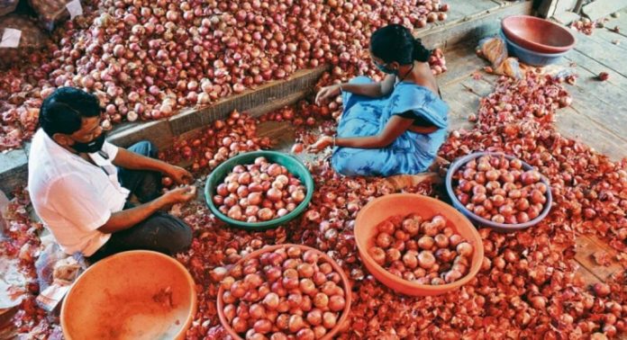ലാഭം കൊയ്ത വ്യാപാരികൾ ; സംഭരണം വൈകുകയാണെങ്കിൽ ഉള്ളി വില വീണ്ടും ഉയർന്നേക്കും ലാഭം കൊയ്ത വ്യാപാരികൾ ; സംഭരണം വൈകുകയാണെങ്കിൽ ഉള്ളി വില വീണ്ടും ഉയർന്നേക്കും