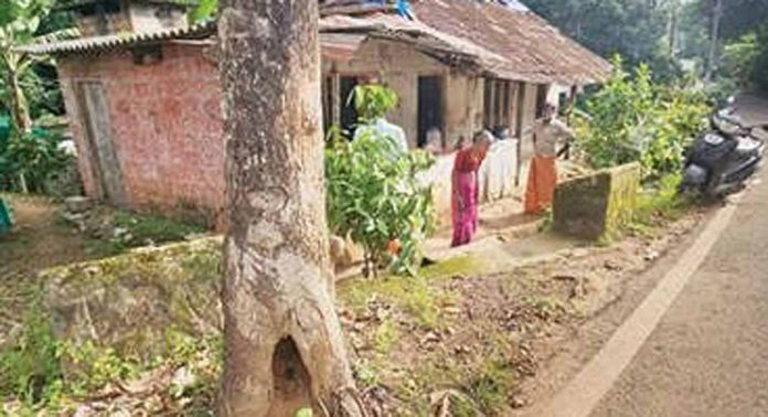 റോഡരികിലെ മരച്ചുവട് ദ്രവിച്ച് അപകടാവസ്ഥയിൽ നിൽക്കുന്നതു കാരണം ജീവഭയത്തിൽ ഒരു കുടുംബം റോഡരികിലെ മരച്ചുവട് ദ്രവിച്ച് അപകടാവസ്ഥയിൽ നിൽക്കുന്നതു കാരണം ജീവഭയത്തിൽ ഒരു കുടുംബം