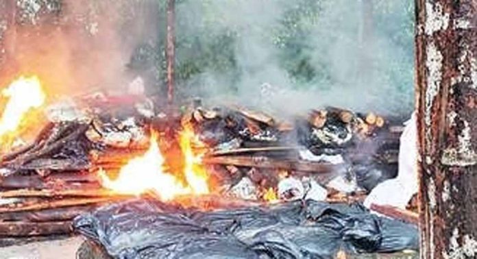 പക്ഷിപ്പനി സ്ഥിരീകരിച്ച ചേന്നംപള്ളിപ്പുറം പഞ്ചായത്ത് മേഖലയിൽ കള്ളിങ് തുടങ്ങി പക്ഷിപ്പനി സ്ഥിരീകരിച്ച ചേന്നംപള്ളിപ്പുറം പഞ്ചായത്ത് മേഖലയിൽ കള്ളിങ് തുടങ്ങി