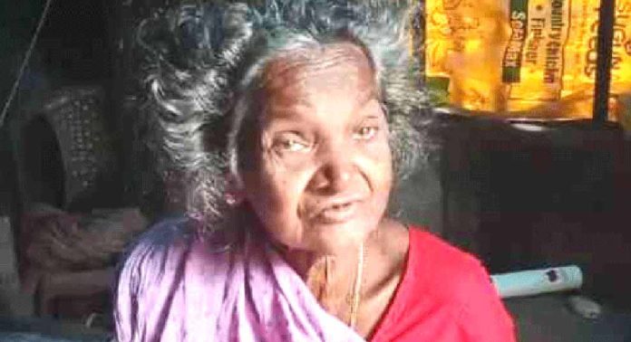 ചോർന്നൊലിക്കുന്ന വീട്ടിൽ ഒറ്റപ്പെട്ട് വയോധിക ചോർന്നൊലിക്കുന്ന വീട്ടിൽ ഒറ്റപ്പെട്ട് വയോധിക