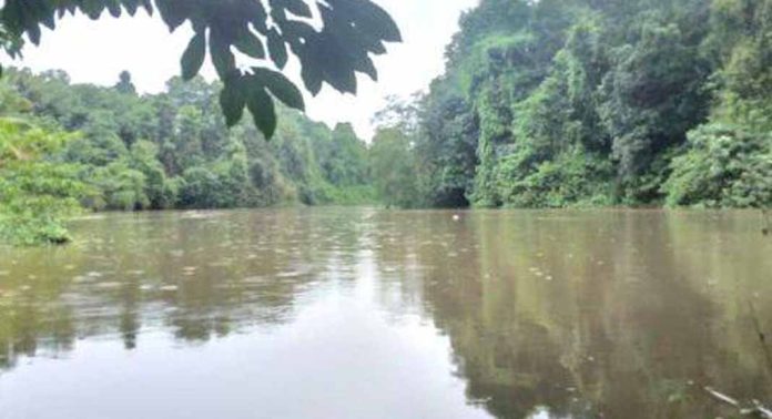 ശക്തമായ മഴയിൽ അച്ചൻകോവിലാറ്റിൽ പത്തടിയോളം വെള്ളം ഉയർന്നു ശക്തമായ മഴയിൽ അച്ചൻകോവിലാറ്റിൽ പത്തടിയോളം വെള്ളം ഉയർന്നു