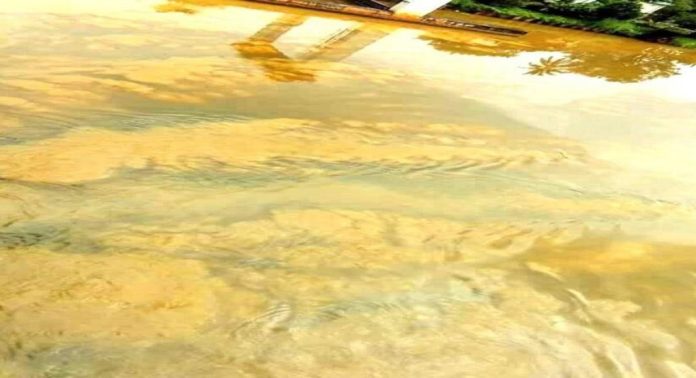 പെരിയാറിലേക്ക് അർധരാത്രി മാലിന്യം ഒഴുക്കിവിട്ടു ; കമ്പനി അടച്ചുപൂട്ടാൻ തീരുമാനം പെരിയാറിലേക്ക് അർധരാത്രി മാലിന്യം ഒഴുക്കിവിട്ടു ; കമ്പനി അടച്ചുപൂട്ടാൻ തീരുമാനം