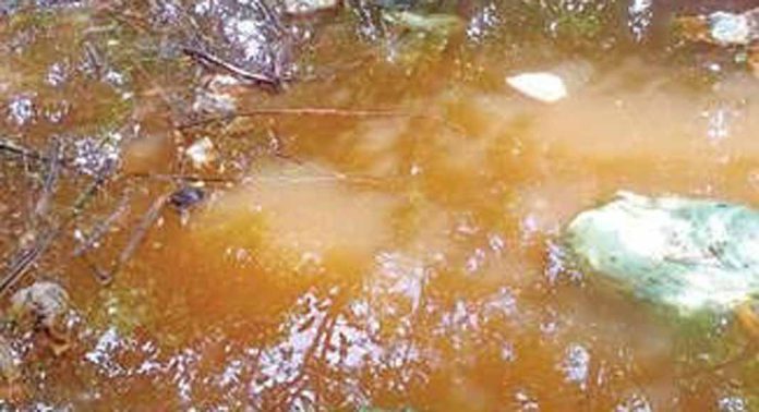 പാണാവള്ളി പഞ്ചായത്തിലെ ഏലാത്തോടിന്റെ ഭാഗങ്ങളില് മാലിന്യം തള്ളുന്നു പാണാവള്ളി പഞ്ചായത്തിലെ ഏലാത്തോടിന്റെ ഭാഗങ്ങളില് മാലിന്യം തള്ളുന്നു