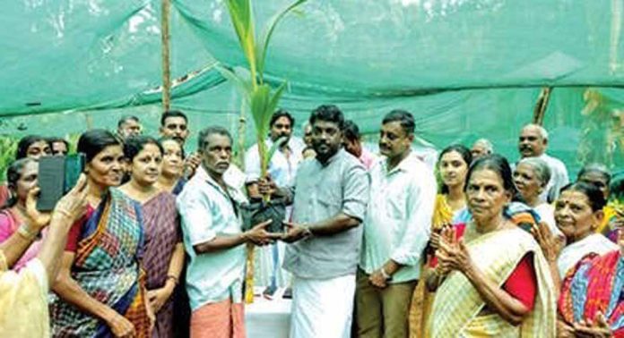 പ്രമാടം പഞ്ചായത്തില് കേരഗ്രാമം പദ്ധതിയില് കേര നഴ്സറിയിൽ നട്ടുവളർത്തിയ തെങ്ങിൻതൈ സൗജന്യമായി വിതരണം ചെയ്തു പ്രമാടം പഞ്ചായത്തില് കേരഗ്രാമം പദ്ധതിയില് കേര നഴ്സറിയിൽ നട്ടുവളർത്തിയ തെങ്ങിൻതൈ സൗജന്യമായി വിതരണം ചെയ്തു