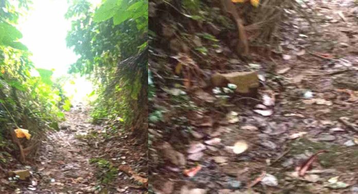 ചിറക്കൽപാറയിൽ പുതിയ പാലത്തിനായുള്ള പ്രദേശവാസികളുടെ കാത്തിരിപ്പ് നീളുന്നു ചിറക്കൽപാറയിൽ പുതിയ പാലത്തിനായുള്ള പ്രദേശവാസികളുടെ കാത്തിരിപ്പ് നീളുന്നു