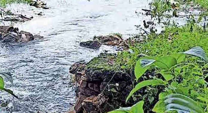 മാവനാൽ പാടത്ത് മടവീഴ്ച ; ദുരിതത്തില് കര്ഷകര് മാവനാൽ പാടത്ത് മടവീഴ്ച ; ദുരിതത്തില് കര്ഷകര്