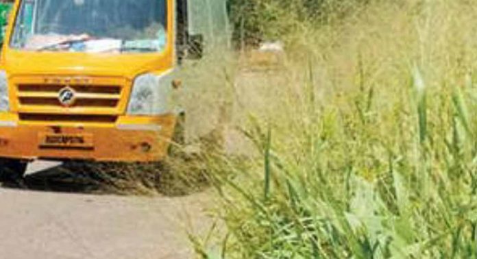 പുല്ലാട് ജംഗ്ഷനിലെ റോഡരികിലെ കാടുകൾ അപകടഭീഷണിയാകുന്നു പുല്ലാട് ജംഗ്ഷനിലെ റോഡരികിലെ കാടുകൾ അപകടഭീഷണിയാകുന്നു