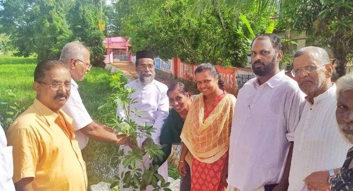 പുലിയൂർ വൈഎംസിഎയുടെ ആഭിമുഖ്യത്തിൽ ലോക പരിസ്ഥിതി ദിനം ആചരിച്ചു പുലിയൂർ വൈഎംസിഎയുടെ ആഭിമുഖ്യത്തിൽ ലോക പരിസ്ഥിതി ദിനം ആചരിച്ചു