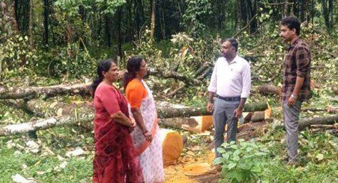 മക്കപ്പുഴ പ്രാഥമികാരോഗ്യ കേന്ദ്രത്തിന്റെ പുതിയ കെട്ടിട നിർമ്മാണത്തിനുള്ള തടസങ്ങൾ നീങ്ങി മക്കപ്പുഴ പ്രാഥമികാരോഗ്യ കേന്ദ്രത്തിന്റെ പുതിയ കെട്ടിട നിർമ്മാണത്തിനുള്ള തടസങ്ങൾ നീങ്ങി