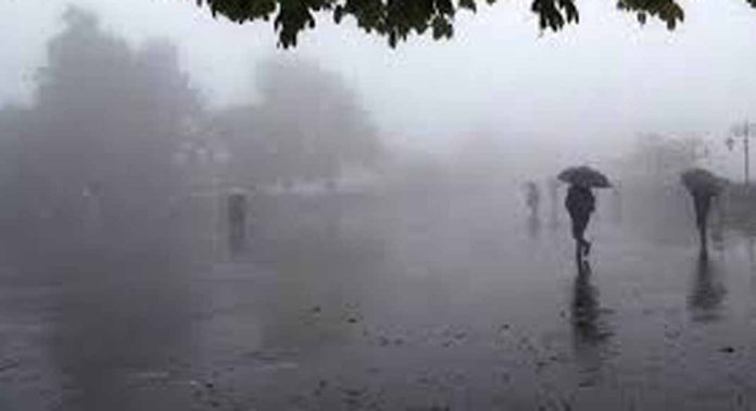 മഴയിൽ മുങ്ങി തലസ്ഥാനം ; ഒരുമാസം പെയ്യേണ്ട മഴയുടെ മൂന്നിരട്ടി ഒറ്റദിവസം പെയ്തു മഴയിൽ മുങ്ങി തലസ്ഥാനം ; ഒരുമാസം പെയ്യേണ്ട മഴയുടെ മൂന്നിരട്ടി ഒറ്റദിവസം പെയ്തു