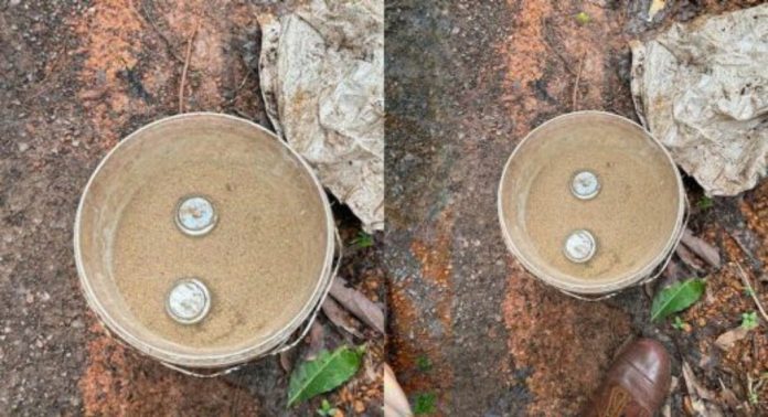 കണ്ണൂരിൽ വീണ്ടും സ്റ്റീൽ ബോംബുകൾ കണ്ടെത്തി ; കൂത്തുപറമ്പിലെ ആളൊഴിഞ്ഞ പറമ്പിൽ നിന്ന് കിട്ടിയത് 2 ബോംബുകൾ കണ്ണൂരിൽ വീണ്ടും സ്റ്റീൽ ബോംബുകൾ കണ്ടെത്തി ; കൂത്തുപറമ്പിലെ ആളൊഴിഞ്ഞ പറമ്പിൽ നിന്ന് കിട്ടിയത് 2 ബോംബുകൾ
