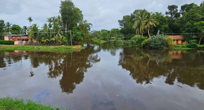 തലവടി വട്ടടി കടവിൽ പാലം നിർമ്മിക്കണമെന്ന ആവശ്യം ശക്തം തലവടി വട്ടടി കടവിൽ പാലം നിർമ്മിക്കണമെന്ന ആവശ്യം ശക്തം