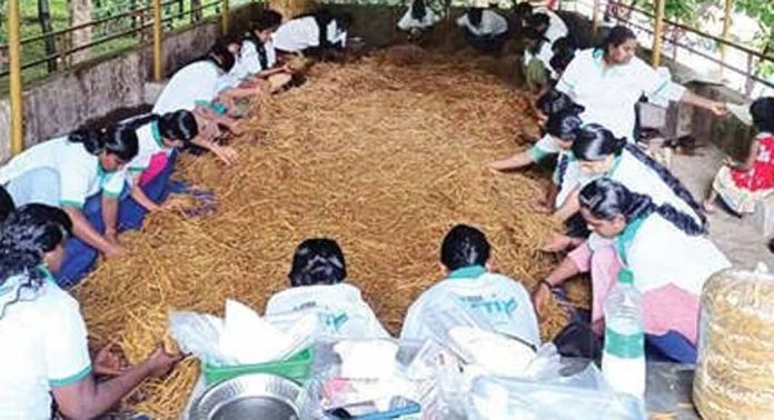 അടുക്കള തോട്ടത്തിൽ മറ്റു പച്ചക്കറികൾക്കൊപ്പം കൂൺ കൃഷിയുമായി തെങ്ങമം അടുക്കള തോട്ടത്തിൽ മറ്റു പച്ചക്കറികൾക്കൊപ്പം കൂൺ കൃഷിയുമായി തെങ്ങമം