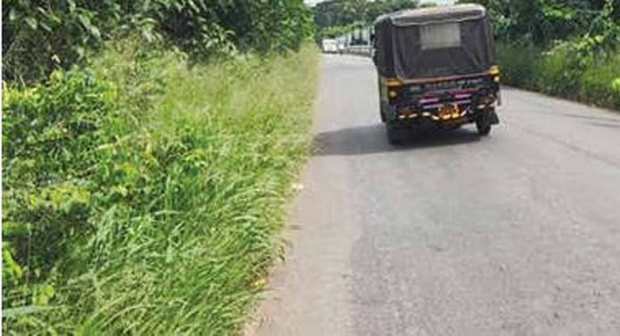 പുളിക്കീഴ് പാലത്തിനോടുചേർന്ന് കാട് വളർന്നുനിൽക്കുന്നു ; റോഡേത് പാലമേത് എന്നറിയാതെ യാത്രക്കാര് പുളിക്കീഴ് പാലത്തിനോടുചേർന്ന് കാട് വളർന്നുനിൽക്കുന്നു ; റോഡേത് പാലമേത് എന്നറിയാതെ യാത്രക്കാര്