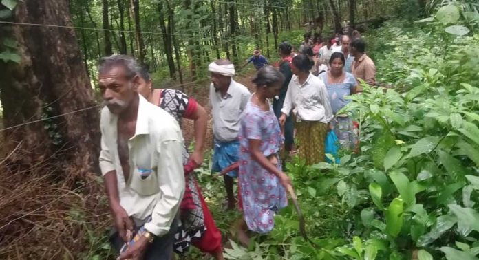 തണ്ണിത്തോട് വനസംരക്ഷണ സമിതി അംഗങ്ങൾ ശ്രമദാനം നടത്തി തണ്ണിത്തോട് വനസംരക്ഷണ സമിതി അംഗങ്ങൾ ശ്രമദാനം നടത്തി