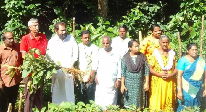 വനം വകുപ്പും വന സംരക്ഷണ സമിതിയും സംയുക്തമായി പരിപാലിച്ചു വന്ന തേക്ക് തൈകളുടെ ആദ്യ വില്പന നടന്നു വനം വകുപ്പും വന സംരക്ഷണ സമിതിയും സംയുക്തമായി പരിപാലിച്ചു വന്ന തേക്ക് തൈകളുടെ ആദ്യ വില്പന നടന്നു