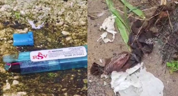 ചാവക്കാട് നാടൻ ബോംബ് പൊട്ടിതെറിച്ചു ചാവക്കാട് നാടൻ ബോംബ് പൊട്ടിതെറിച്ചു