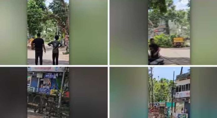ഓടുന്ന ലോറിയുടെ മുകളിൽ മരം ഒടിഞ്ഞ് വീണു ഓടുന്ന ലോറിയുടെ മുകളിൽ മരം ഒടിഞ്ഞ് വീണു