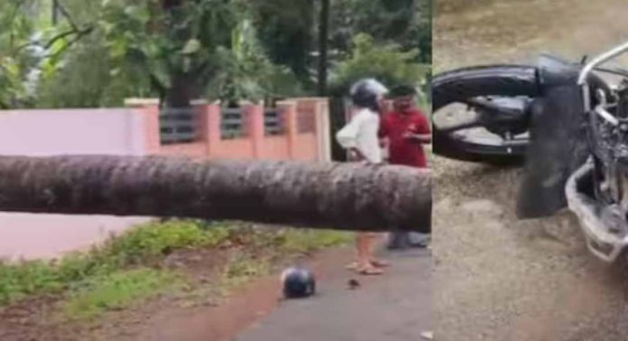 തൃശൂരില് അരിമ്പൂർ എറവിൽ റോഡിന് കുറുകെ വീണ് കിടന്ന തെങ്ങിൽ ഇടിച്ച് ബൈക്ക് യാത്രക്കാരന് ഗുരുതര പരിക്ക് തൃശൂരില് അരിമ്പൂർ എറവിൽ റോഡിന് കുറുകെ വീണ് കിടന്ന തെങ്ങിൽ ഇടിച്ച് ബൈക്ക് യാത്രക്കാരന് ഗുരുതര പരിക്ക്