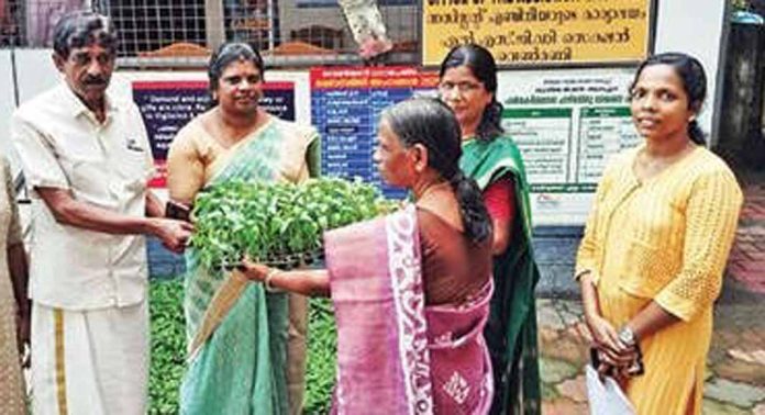 ഓണക്കാലക്കൃഷിയുമായി കുടുംബശ്രീ സംഘങ്ങൾ ഓണക്കാലക്കൃഷിയുമായി കുടുംബശ്രീ സംഘങ്ങൾ