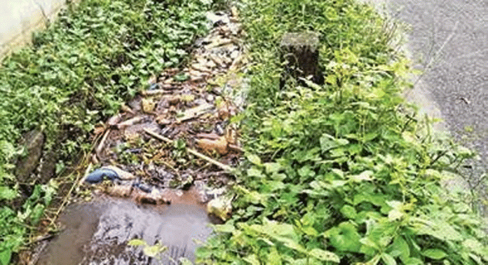 ചെട്ടികുളങ്ങര പഞ്ചായത്തില് വിവിധ ഭാഗങ്ങളിൽ സമൂഹവിരുദ്ധർ മാലിന്യംതള്ളുന്നത് വ്യാപകമാകുന്നു ചെട്ടികുളങ്ങര പഞ്ചായത്തില് വിവിധ ഭാഗങ്ങളിൽ സമൂഹവിരുദ്ധർ മാലിന്യംതള്ളുന്നത് വ്യാപകമാകുന്നു