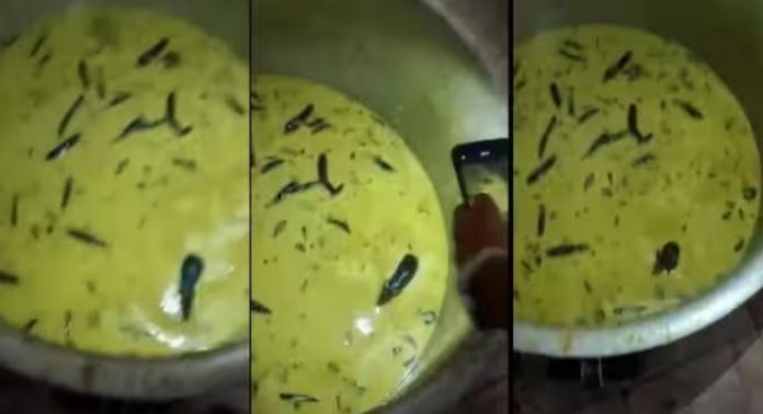 ഹോസ്റ്റലിൽ നിന്ന് ലഭിച്ച ചട്നിയിൽ നീന്തി നടക്കുന്ന എലി ; പ്രതിഷേധവുമായി വിദ്യാർത്ഥികൾ ഹോസ്റ്റലിൽ നിന്ന് ലഭിച്ച ചട്നിയിൽ നീന്തി നടക്കുന്ന എലി ; പ്രതിഷേധവുമായി വിദ്യാർത്ഥികൾ