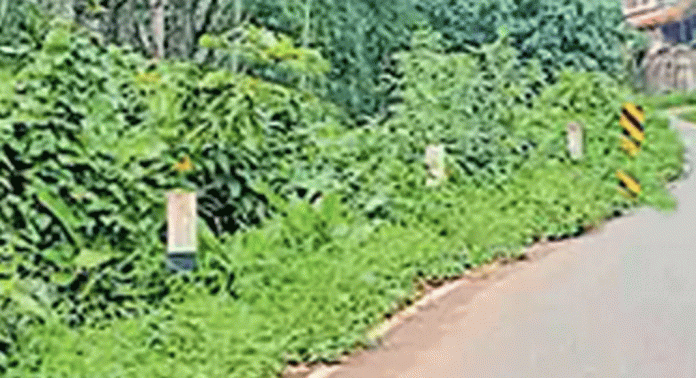 റാന്നി – തിരുവല്ല റോഡിൽ ഇടിതാങ്ങി സ്ഥാപിക്കണമെന്ന ആവശ്യം ശക്തമാകുന്നു റാന്നി – തിരുവല്ല റോഡിൽ ഇടിതാങ്ങി സ്ഥാപിക്കണമെന്ന ആവശ്യം ശക്തമാകുന്നു